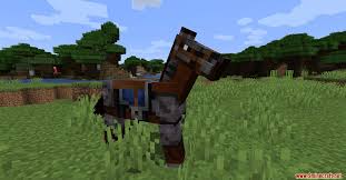 Be sure to separate your ideas so people know what they're. Netherite Horse Armor 1 16 5 1 16 2 Minecraft Mod Download