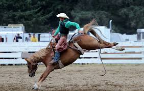 The website uses cookies, which are elements of data that a website can send to your browser, which may then be stored on your system. Canceled Long Beach Rodeo Visit Long Beach Peninsula