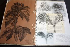 A2 Art Personal Investigation Unit 3 Natural Forms Natural Form Art Art Sketchbook A Level Art Sketchbook