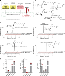 Animal cell coloring diagram labeled longitude and latitude. Plant Metabolism Of Nematode Pheromones Mediates Plant Nematode Interactions Nature Communications