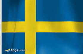 ← gallery art argentina flags body painting. Sweden Flag