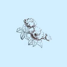 Outline Of Flowers Light Blue Aesthetic Created And Uploaded By Ashlin Ashlin1025 Light Blue Aesthetic Blue Aesthetic Pastel Blue Aesthetic