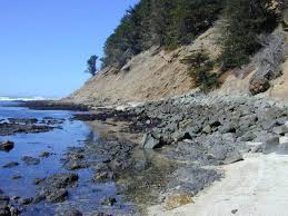 Torrey pines state natural reserve is 2,000 acres of coastal state park located in the community of la jolla, in san diego, california, off north torrey pines road. Bay Area Hiker Fitzgerald Marine Reserve