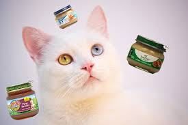 Since every cat is different, it's impossible to pick the singular best dry cat food. Can Cats Eat Baby Food Best Baby Food For Cats Wildernesscat