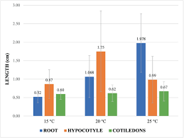 Image result for Pimpinella sp. A. of FZ 4: 594