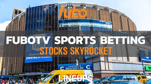 New partnerships with professional sports teams, including 10 stocks we like better than mgm resorts international when investing geniuses david and tom gardner have a stock tip, it can pay to listen. Edgar Bronfman Jr Announces Fubotv Sports Betting Plan In The Works