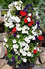 Diy Flower Tower Live Dan330 Flower Tower Flower Pots Diy Flowers