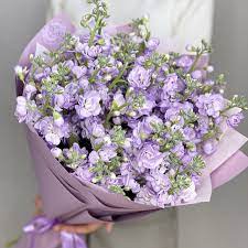 Букеты на день рождения купить в Иркутске | Доставка бесплатно |  Интернет-магазин Роза Маркет