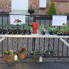 Hanging basket flowers for sale near me. Vegetable Plants And Hanging Baskets And Flowers For Sale Home Facebook