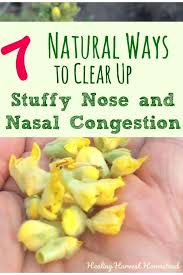 Seven Home Remedies For Getting Rid Of Congestion Fast Natural Easy Decongestant Ideas And Recipes That Work All Posts Healing Harvest Homestead Sinus Remedies Chest Congestion Remedies Stuff Nose Remedies