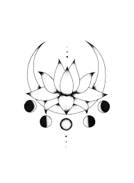 Lotus flower tattoo line drawing. Lotus Flower Tattoo Line Art Novocom Top