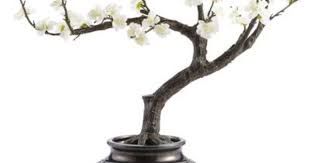 Pier 1 Imports Modern Flower Arrangements White Flower Arrangements Bonsai