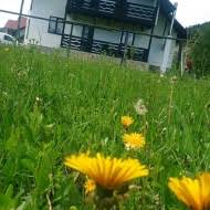 Oferte pensiuni hoteluri cazare bucovina, oferte pensiuni hoteluri cazare suceava, oferte pensiuni hoteluri cazare nordul moldovei, oferte oferte turistice craciun si revelion in bucovina, selectate calitativ, judetul suceava, bucovina. Cazare Bucovina 546 ProprietÄÈi Contact Direct RezervÄri Necomisionate