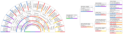 Progeny Genealogy How To Display The New Family Tree Colors