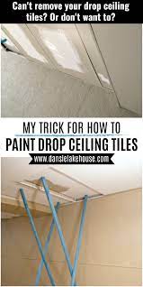 Paint a panel design up walls and along beams. How To Paint Drop Ceilings You Cannot Remove Dans Le Lakehouse