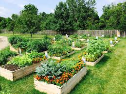 Community Gardens Provide Fresh Products And Plants As Well As Contributing To A Sense Of Community And Connec Proyectos De Jardin Huerto Casero Huerto Hurbano