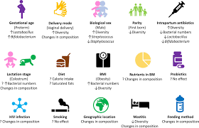 Breast Milk Microbiota A Review Of The Factors That Influence Composition Journal Of Infection