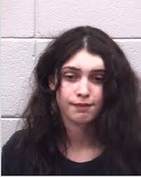 Two teens charged with residential burglary