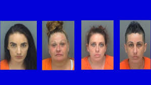 Drugs Found On Pinellas County Jail Inmates 13wmaz Com