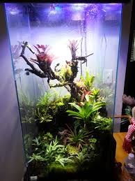 83gallon Tower Tank Page 4 Dendroboard Vivarium Reptile Habitat Reptile Terrarium