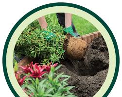 Maybe you would like to learn more about one of these? Johnson S Gardens Cedarburg Wi Local Garden Center
