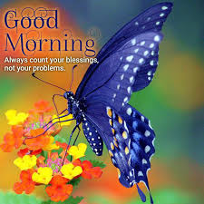 Check spelling or type a new query. Download Beautiful Good Morning Quotes Images Good Morning Images Quotes Wishes Messages Greetings Ecards