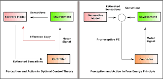 Issues in the foundations of cognitive science. Frontiers Challenges To The Modularity Thesis Under The Bayesian Brain Models Human Neuroscience