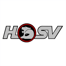 Download and like our article. Holden Hsv Badge Decal 1 Discontinued Decals