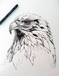 Laura Hyden Artsthread Profile In 2020 Skizzierung Adler Kunst Tiere Zeichnen