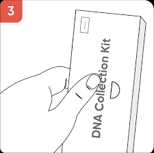 Depending on where you get the test taken. Circledna I World S Most Comprehensive Dna Test
