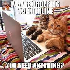Pin By Jane Nichols On Crochet Humor Funny Cats In Water Funny Animal Pictures Kittens Cutest