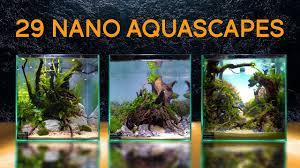 Aquascape sky is the all new lineup of small aquariums by aquascape. Twenty Nine Of The Best Nano Aquascapes In America Youtube
