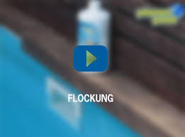 4 Schritt Flockung Planet Pool