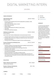12 Advertising Pupil Resume