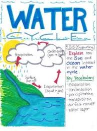 Water Cycle Water Cycle Water Cycle Project Water Cycle Poster
