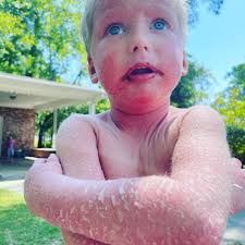 Jordan Flake (@theflakefiles) • Instagram photos and videos