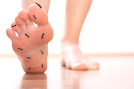 Como Quitar El Mal Olor En Los Pies Y En Los Zapatos Salud La Revista El Universo