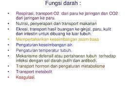Minyak merupakan bentuk cair dari lemak. D A R A H Darah Plasma Macam Macam Sel Plasma Air Nutrien Ppt Download