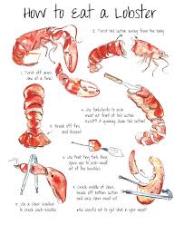 How To Eat A Lobster Local Life Lobster Bake Lobster Boil Lobster Dinner
