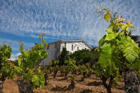 Three friends are part of an opposition group in the chaotic chile of the early 70's and. Senorio De Arana Labastida Weinkeller Berlin