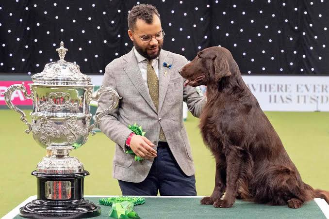 Baxer the Flat-Coated Retriever Wins 'Best in Show' at 2022 Crufts  International Dog Show