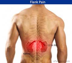 Pin On Flank Pain Torment