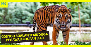 Maybe you would like to learn more about one of these? 33 Contoh Soalan Temuduga Spa Yang Mungkin