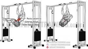 Lying Side Hip Raise Exercise Guide And Video Weight Training Guide Windshield Wiper Exercise Good Back Workouts Exercise