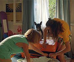 We did not find results for: Nikos Xardalias Me Th Gynaika Toy Sthn Parastash Toy Zaxaratoy