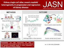 Please type a message to the paper's authors to explain your need for the paper. Kidney Single Cell Atlas Reveals Myeloid Heterogeneity In Progression And Regression Of Kidney Disease American Society Of Nephrology