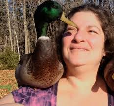 Donna Stuckey's Instagram, Twitter & Facebook