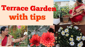 Combine flowers and vegetables for healthy partnerships and an aesthetically pleasing look. Terrace Garden Ideas Rooftop Gardening With Tips In Telugu Vijaya Reddy Youtube