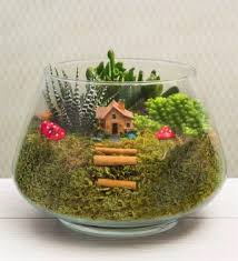 Terrarium Nedir Teraryum Yapimi Asamalari