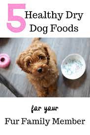 5 Healthy Dry Dog Foods For Your Fur Family Member Dog Food Recipes Best Dog Food Dog Nutrition